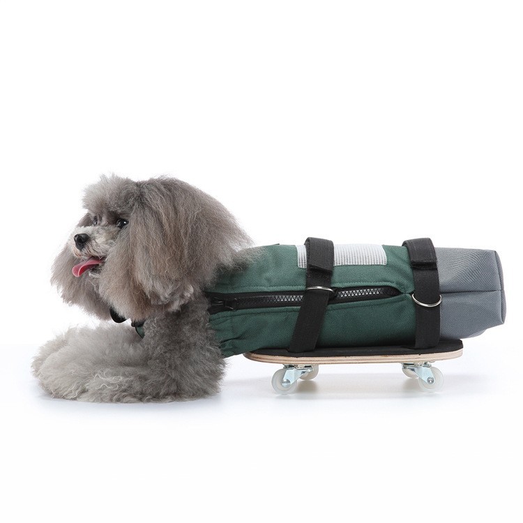 Pet Walking Aid Disabled Skateboard